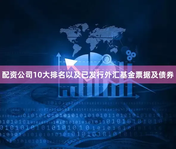配资公司10大排名以及已发行外汇基金票据及债券